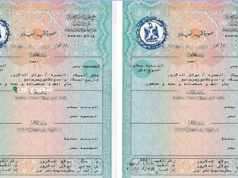 طريقة استخراج شهادة ميلاد إلكترونية