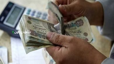 طريقة الاستعلام عن تفاصيل معاش يوليو 2025