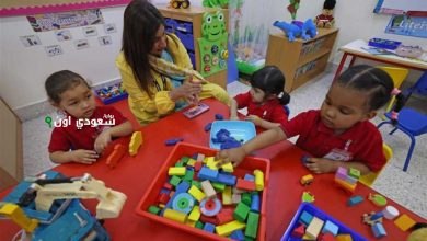 طريقة تقديم رياض الاطفال الاسكندرية 2025