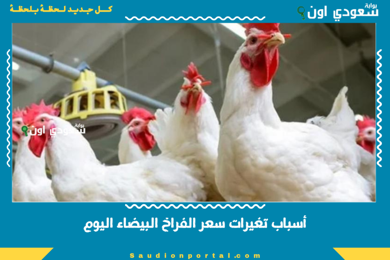 أسباب تغيرات سعر الفراخ البيضاء اليوم