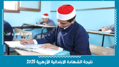 خطوة بخطوة.. اسهل طريقة للاستعلام عن نتيجة الشهادة الابتدائية الازهرية 2025 محافظة القاهرة
