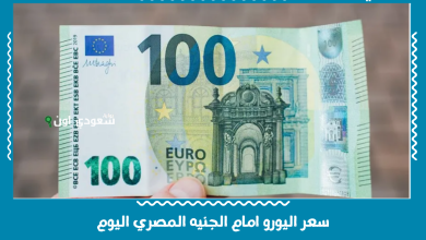 سعر اليورو امام الجنيه المصري اليوم