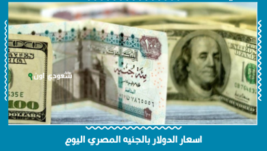 اسعار الدولار بالجنيه المصري اليوم
