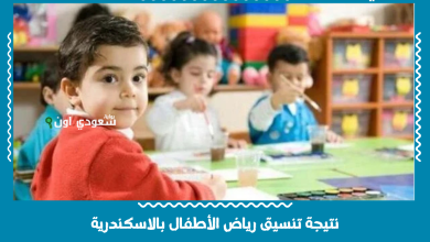 نتيجة تنسيق رياض الأطفال بالاسكندرية