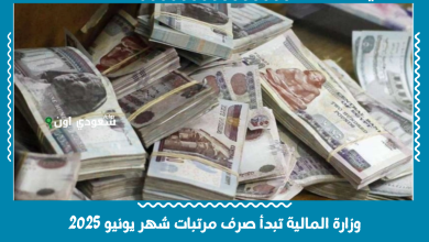 وزارة المالية تبدأ صرف مرتبات شهر يونيو 2025