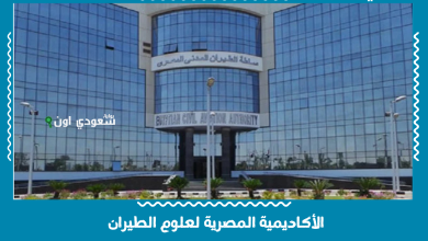 الأكاديمية المصرية لعلوم الطيران