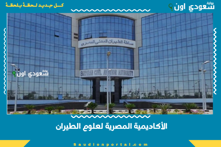 الأكاديمية المصرية لعلوم الطيران