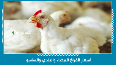 أسعار الفراخ البيضاء والبلدي والساسو