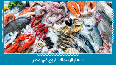 أسعار الأسماك اليوم في مصر