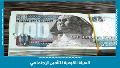 الهيئة القومية للتأمين الاجتماعي