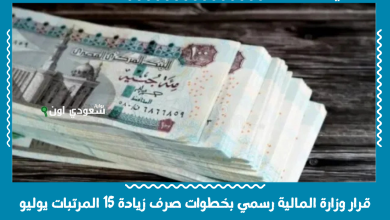 قرار وزارة المالية رسمي بخطوات صرف زيادة 15 المرتبات يوليو