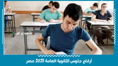 أرقام جلوس الثانوية العامة 2025 مصر
