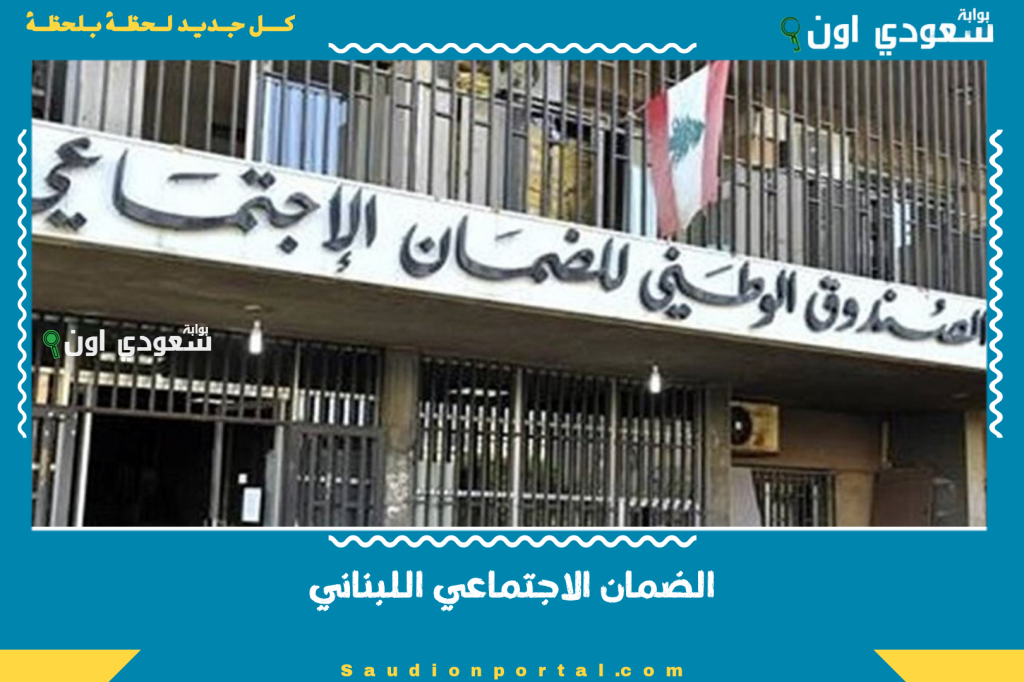 الضمان الاجتماعي اللبناني: اعتماد ورقة السير بدل الدفتر للسائقين العموميين ولن يستفيد السائق غير اللبناني منه