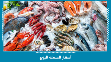أسعار السمك اليوم
