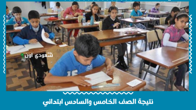 نتيجة الصف الخامس والسادس ابتدائي