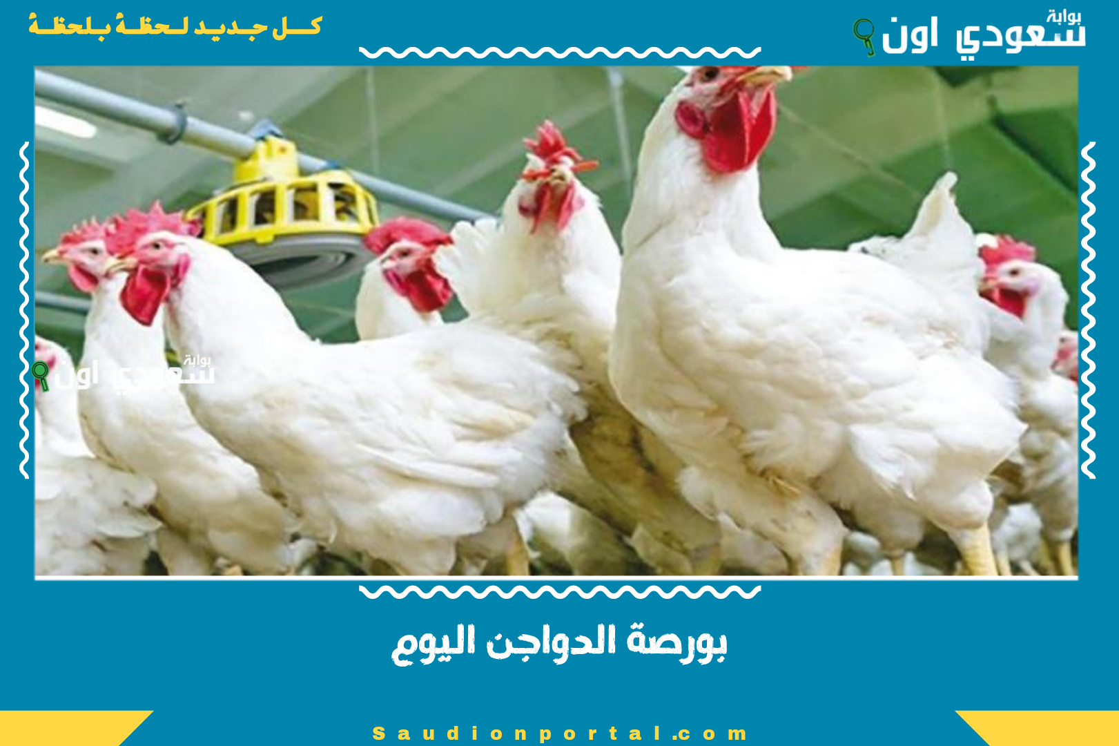 بورصة الدواجن اليوم