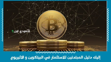 إليك دليل المبتدئين للاستثمار في البيتكوين و الاثيريوم