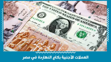 العملات الأجنبية بكام النهاردة في مصر