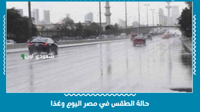 حالة الطقس في مصر اليوم وغدًا