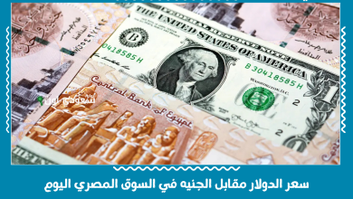 سعر الدولار مقابل الجنيه في السوق المصري اليوم
