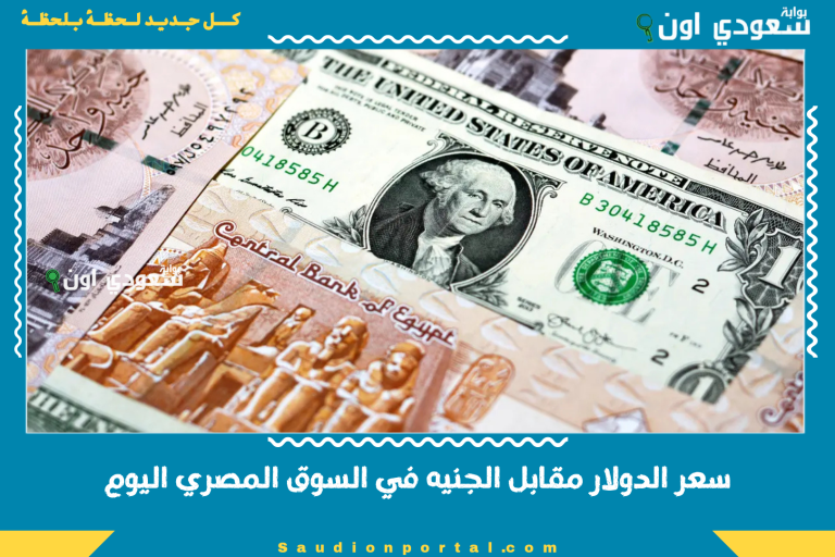 سعر الدولار مقابل الجنيه في السوق المصري اليوم