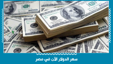 سعر الدولار الآن في مصر