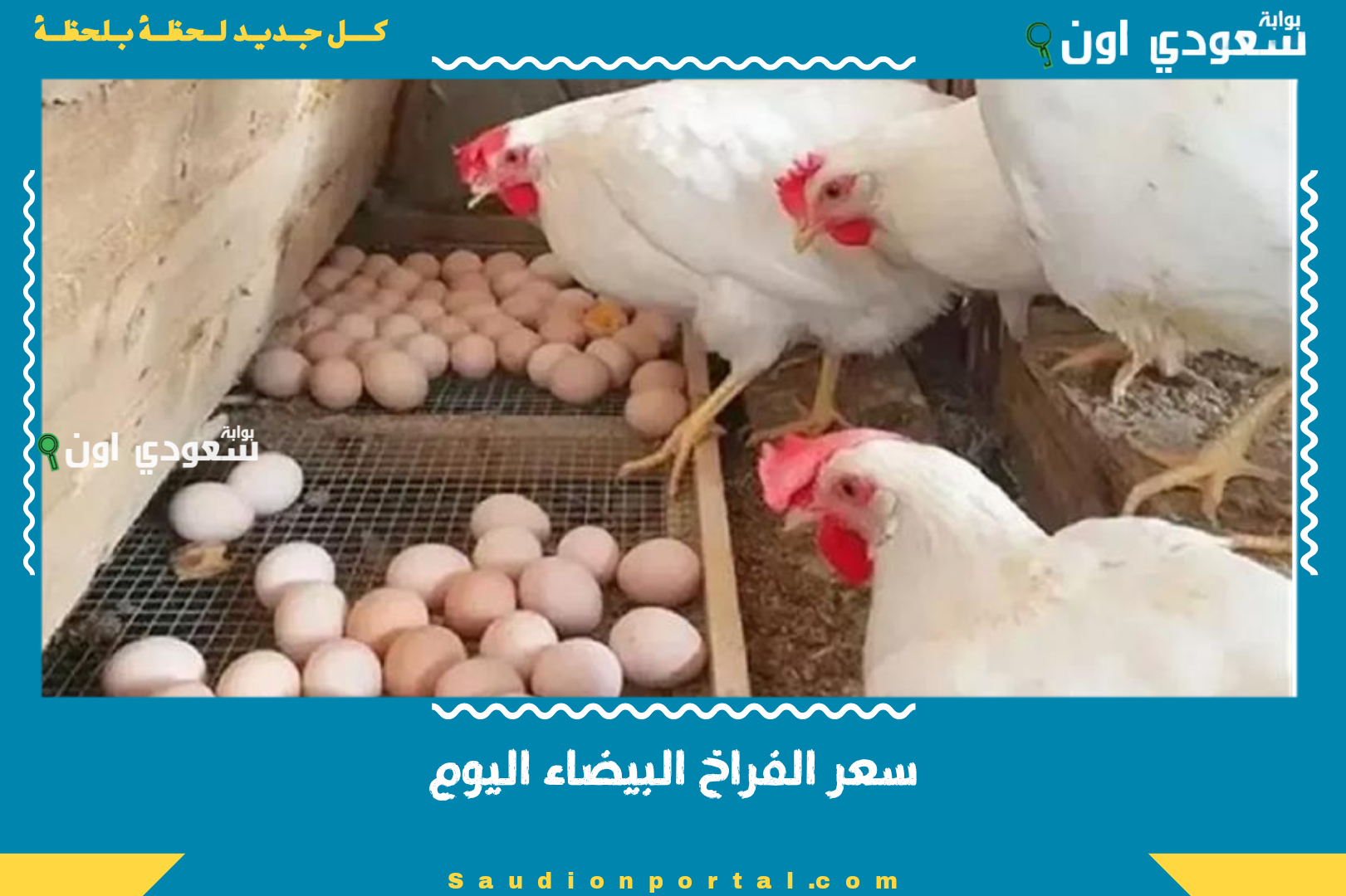 سعر الفراخ البيضاء اليوم