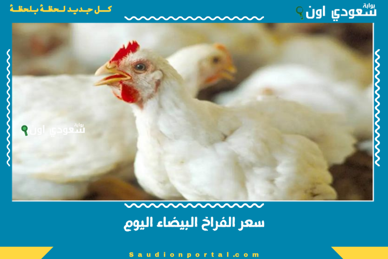 سعر الفراخ البيضاء اليوم