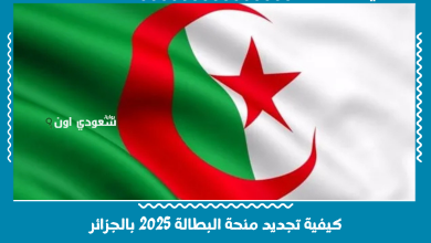 كيفية تجديد منحة البطالة 2025 بالجزائر