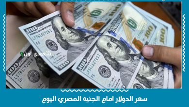 سعر الدولار امام الجنيه المصري اليوم
