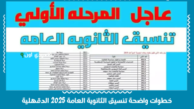 خطوات واضحة تنسيق الثانوية العامة 2025 الدقهلية