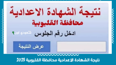 نتيجة الشهادة الاعدادية محافظة القليوبية 2025