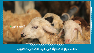 دعاء ذبح الاضحية في عيد الاضحي مكتوب