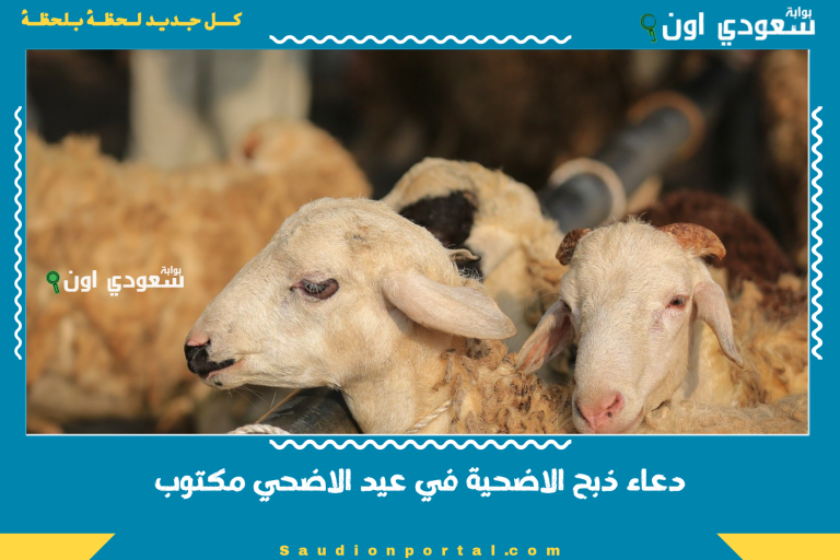 دعاء ذبح الاضحية في عيد الاضحي مكتوب