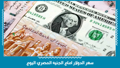 سعر الدولار امام الجنيه المصري اليوم
