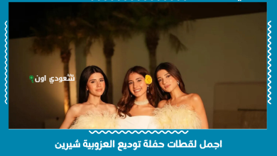 اجمل لقطات حفلة توديع العزوبية شيرين