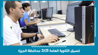 تنسيق الثانوية العامة 2025 محافظة الجيزة