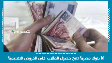 10 بنوك مصرية تتيح حصول الطلاب على القروض التعليمية