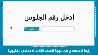 رابط الاستعلام عن نتيجة الصف الثالث الاعدادي القليوبية