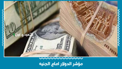 مؤشر الدولار امام الجنيه