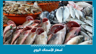 أسعار الأسماك اليوم