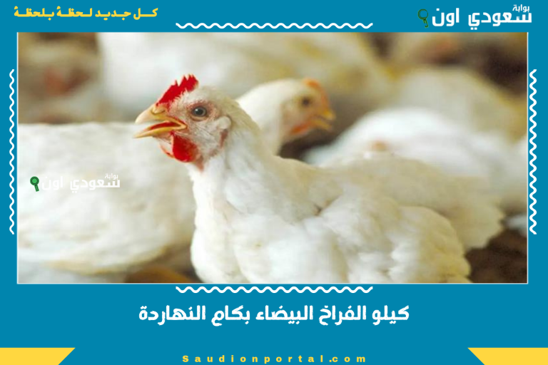 كيلو الفراخ البيضاء بكام النهاردة