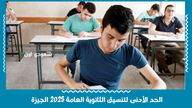 الحد الأدنى لتنسيق الثانوية العامة 2025 الجيزة