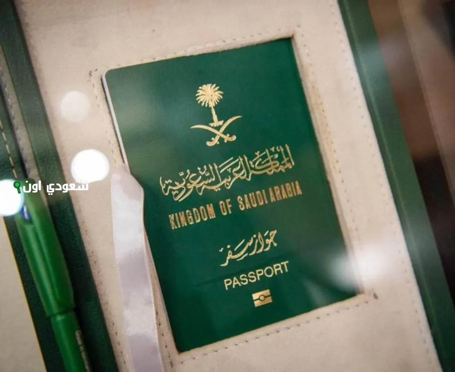عاصفة ترحيل تضرب المقيمين الداخلية السعودية تعلن قرارا صارما بالإبعاد الفوري ومنع العودة نهائيا