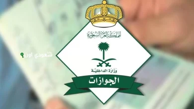 الجوازات تُصدر أكثر من 12 ألف قرار لمخالفي الإقامة والعمل