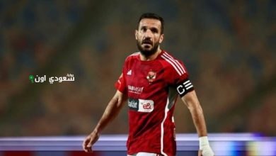 علي معلول