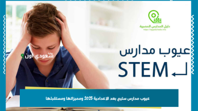 عيوب مدارس ستيم بعد الاعدادية 2025 ومميزاتها ومستقبلها