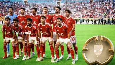مجموعة الأهلي فيفا