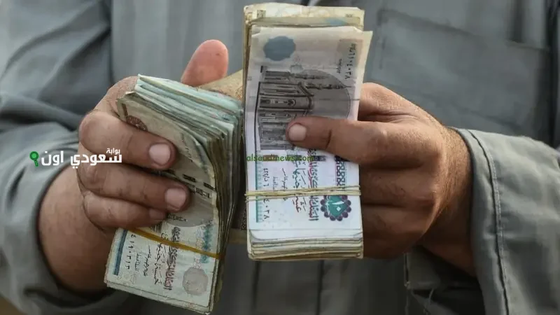 قبل صرف دفعة يوليو.. اعرف طريقة الاستعلام عن قيمة المعاش بالاسم