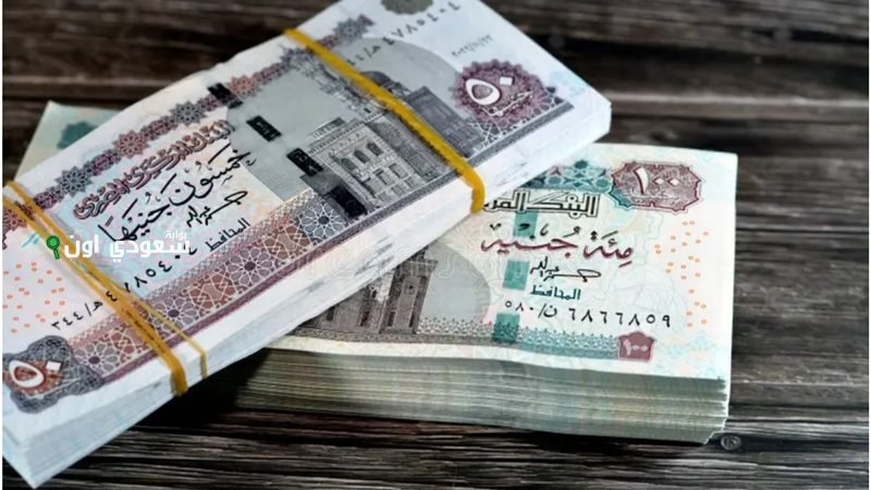 قرار عاجل بصرف مرتبات يونيو